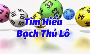 Một số phương pháp bắt bạch thủ lô theo ngày chuẩn xác nhất