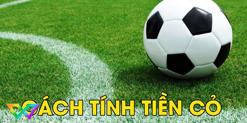 cách tính tiền cỏ 