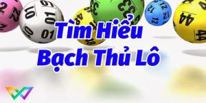 tim-hieu-bach-thu-lo-la-gi