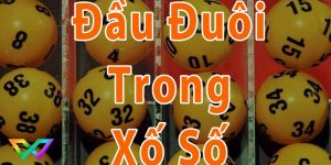 dau-duoi-trong-xo-so-la-gi